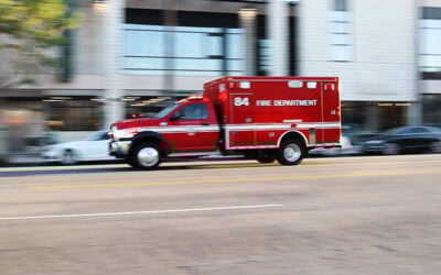 Wood County, TX – Dog Bite Incident Reported on Indian Ridge Trl